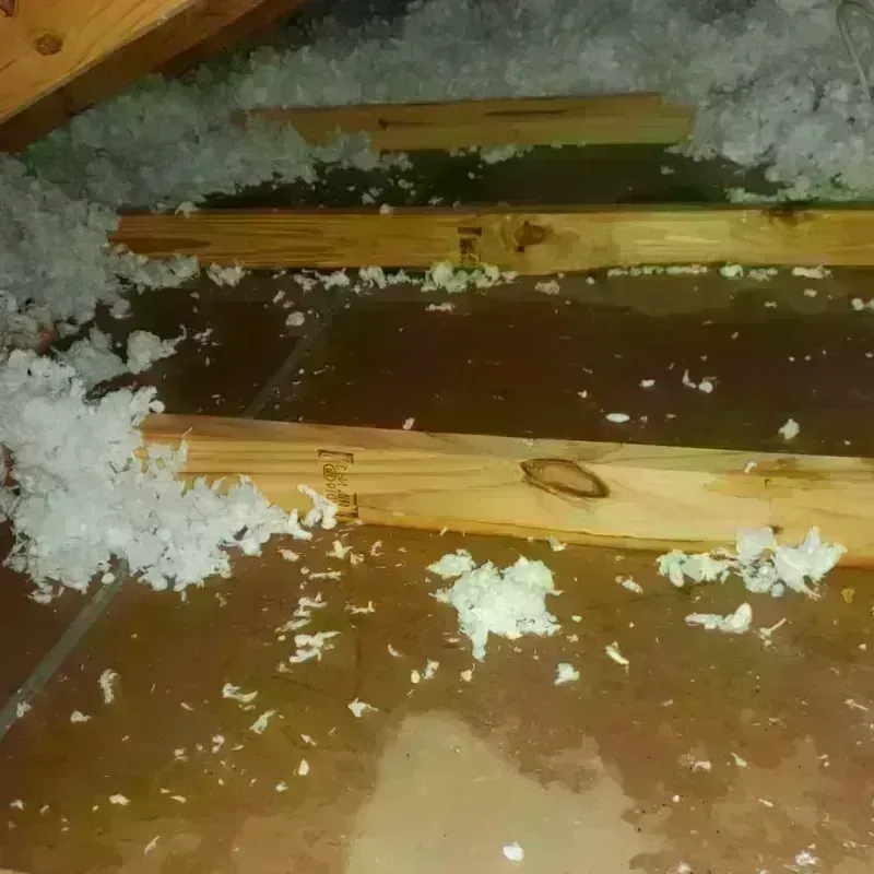 Attic Water Damage in Moniteau County, MO